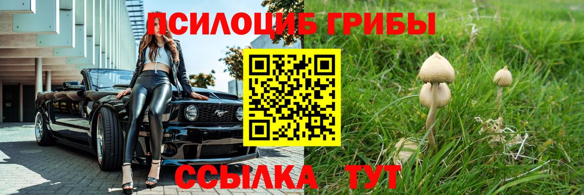 Псилоцибиновые грибы GOLDEN TEACHER Кашира